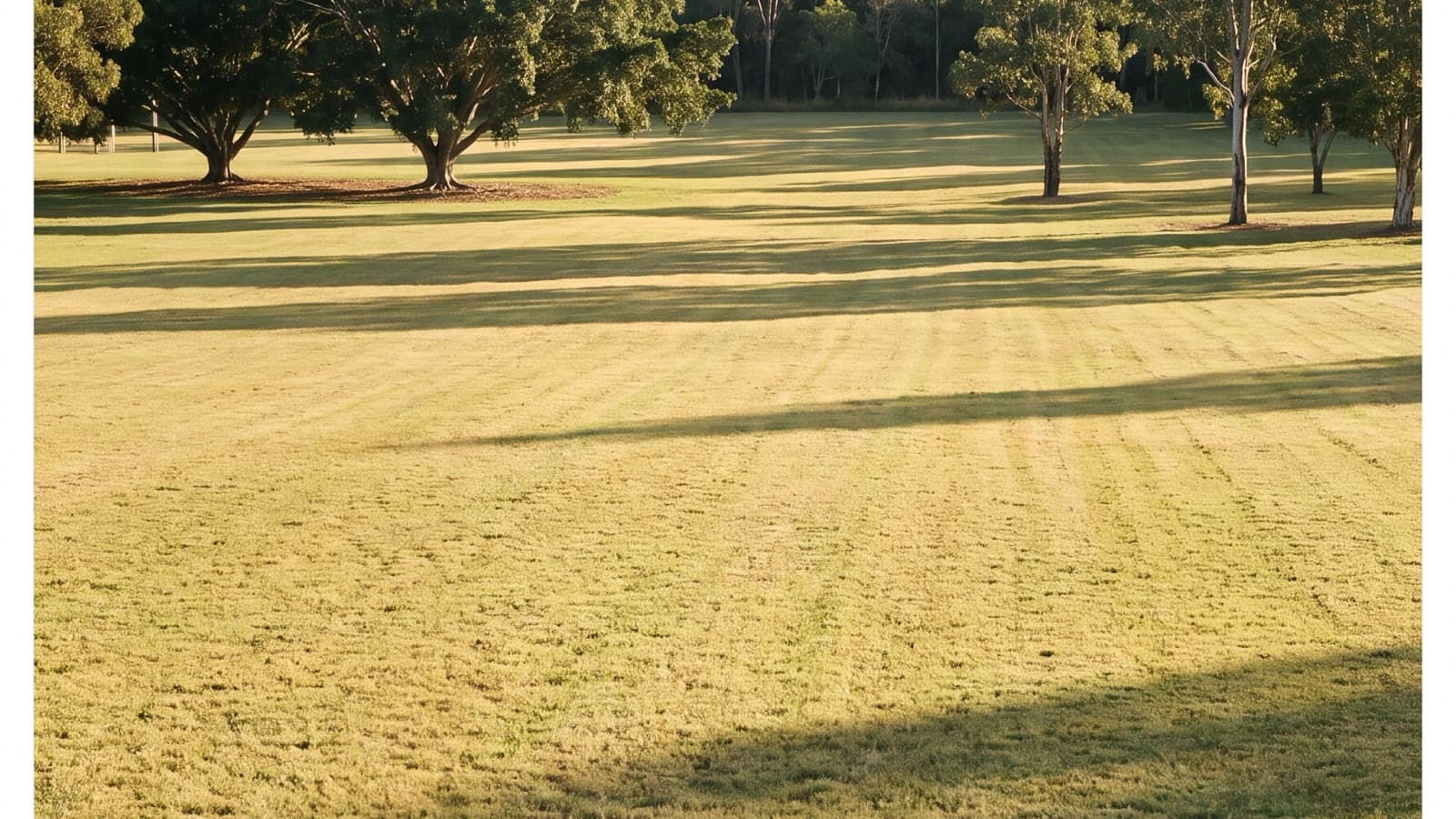 Mown parkland after the visit